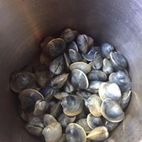 Jonnycake Center tweet media