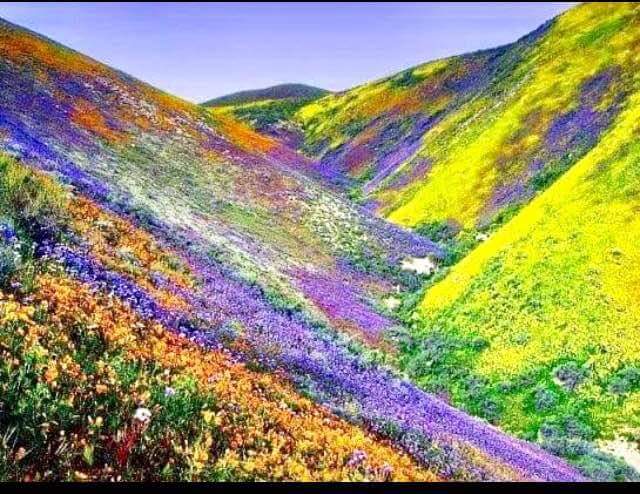 DebiaEduardo's tweet photo. Dale RT entre Vallenar y #LaSerena https://t.co/pSfhyySFWE