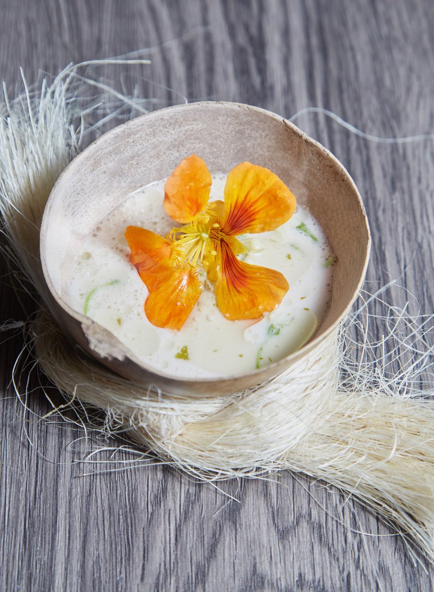 –<a href="/Hokol_Vuh/">Hokol Vuh</a> un proyecto único en el mundo que irá revelando los secretos de las culturas de México y el mundo chmx.co/HokolVuhYuc