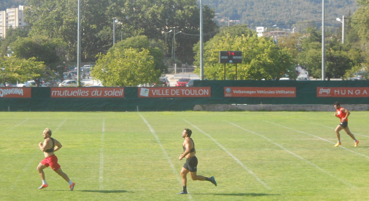 Enea ⭐⭐ tweet media