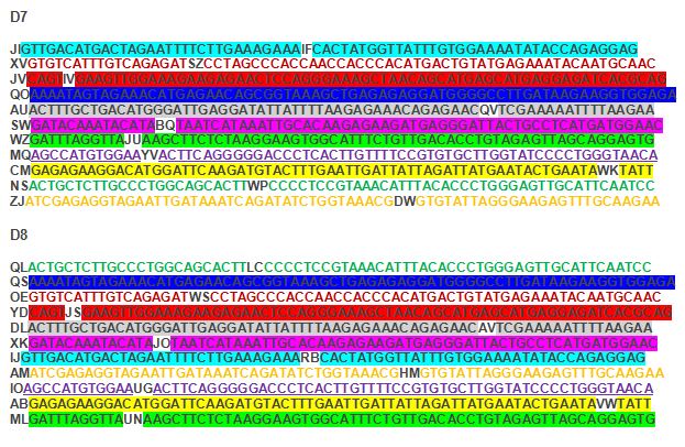 bbc watchdog dog dna test