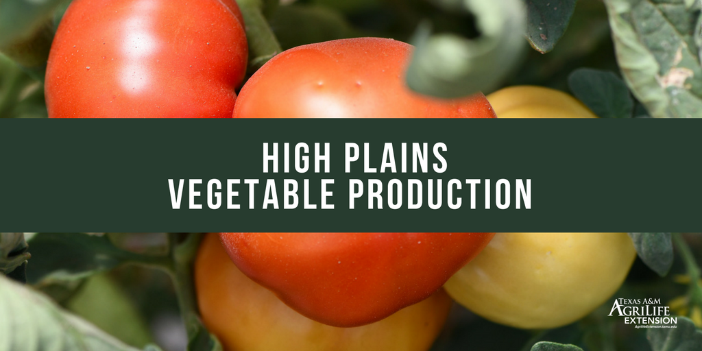 High tunnel value proven in High Plains vegetable production: ow.ly/bL4g30dzFZ0