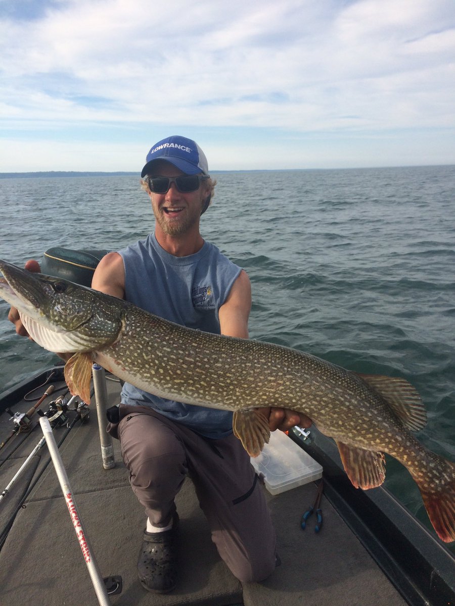 Spencer Blake tweet media