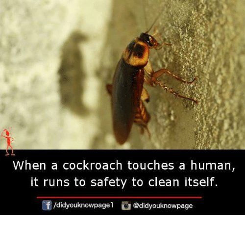 ItsPestControl's tweet image. Did You Know This!!