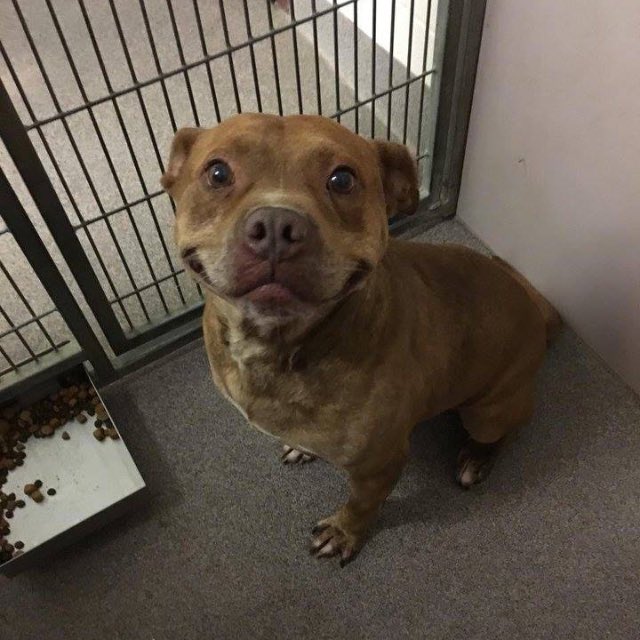 jmwpg99's tweet image. I can't stop looking at this pic