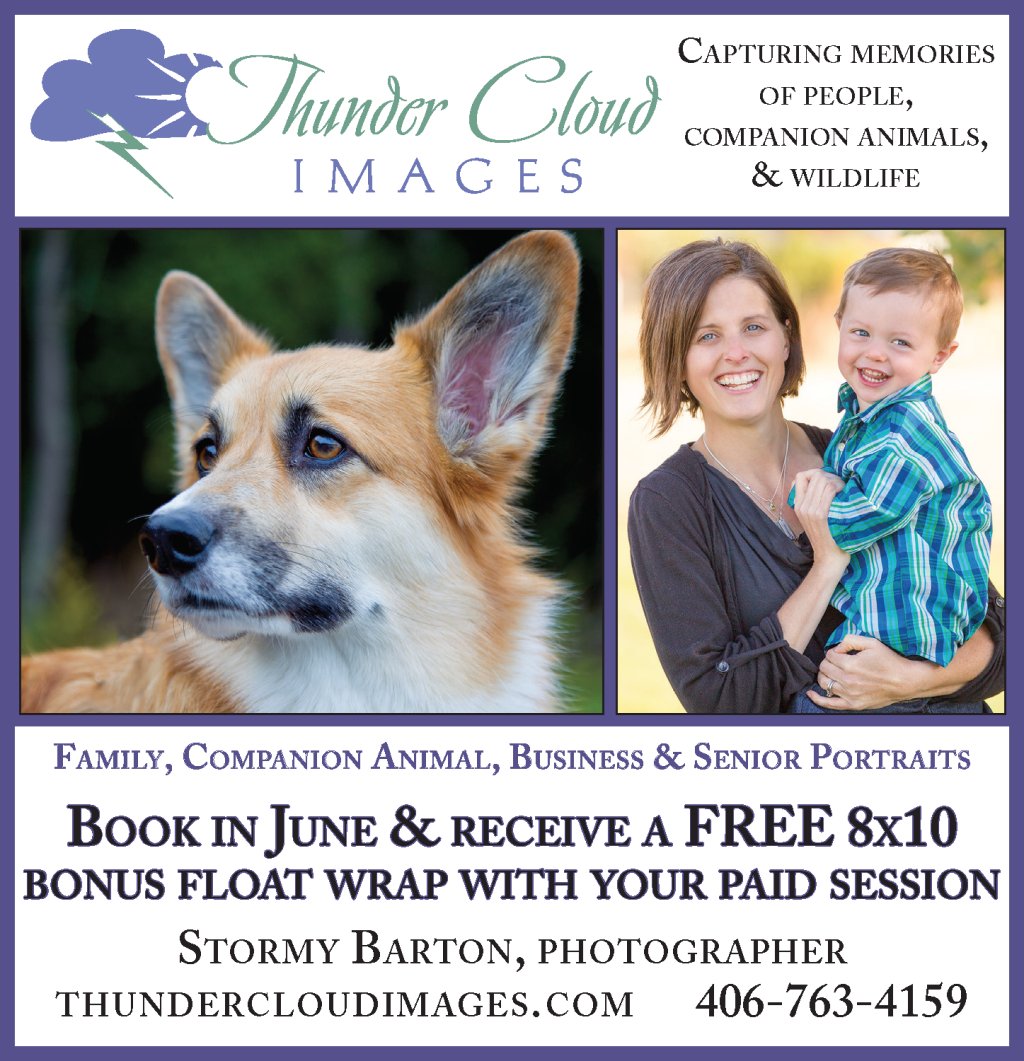 MediaWorksLLC's tweet photo. Advertising Design for Photography Business https://t.co/UBoWlRLiF1 https://t.co/mARzDjc0Hf