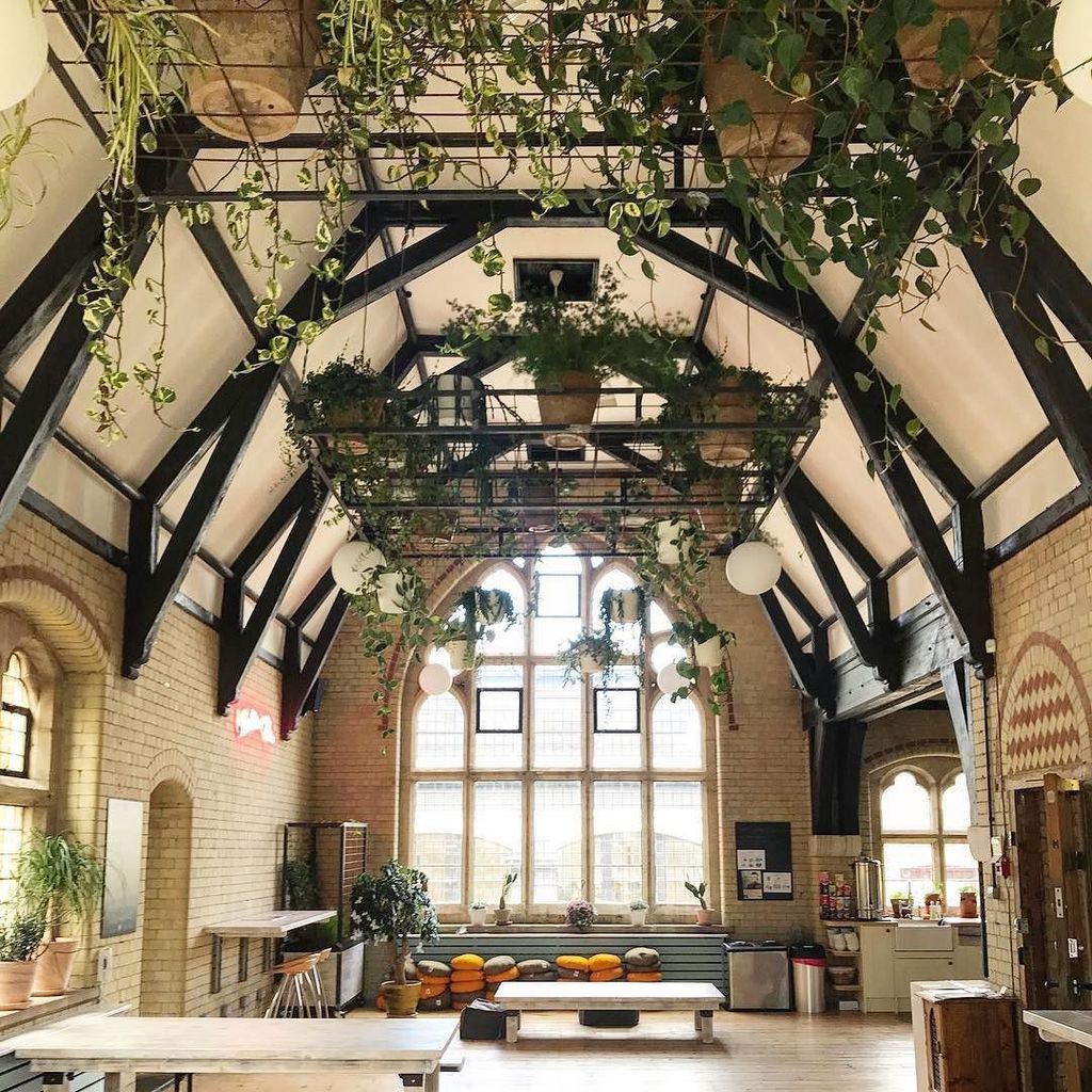 secretsofgreen's tweet photo. 🌿 Join us tomorrow on Instagram Stories from 7pm &amp; follow our official launch party with @neubaueyewear! #secretso… https://t.co/EyEii7Drer https://t.co/OmFklNxwgB