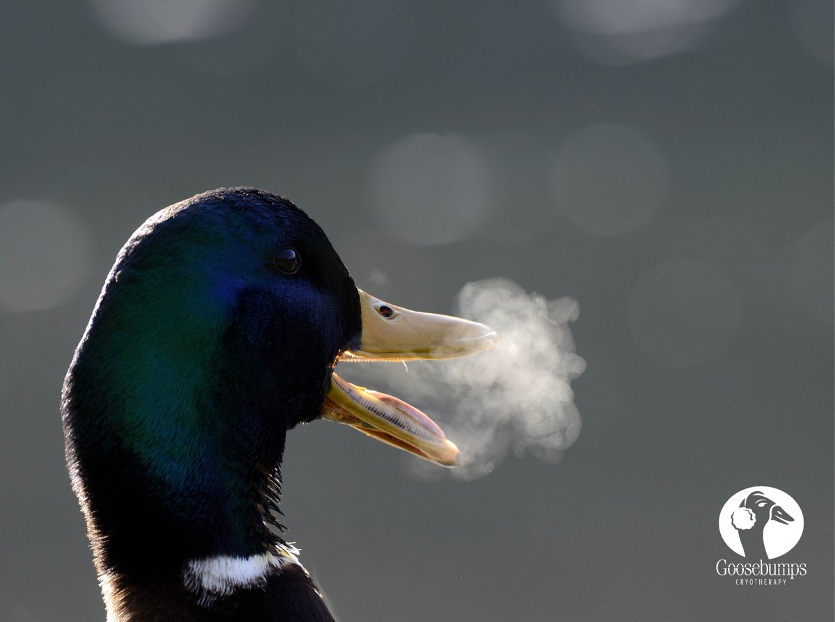 Our commitment to unwavering client satisfaction utilizing BALANCED holistic healthy healing in #ColoradoSprings!