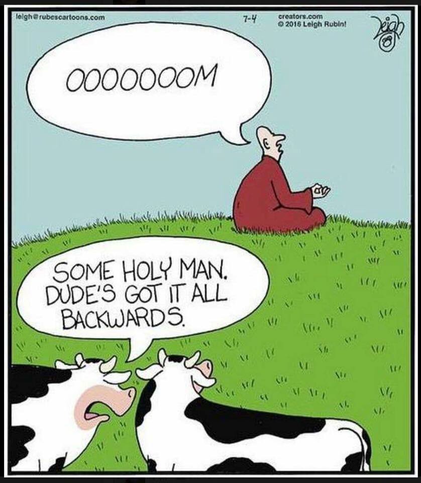 gjmacdonald's tweet photo. #ReligionHumor https://t.co/Sh0PDeEIGz