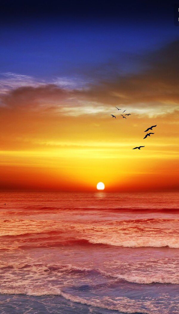 staticanzoni's tweet image. possiamo smettere di incolparci
abbiamo trasformato l'amore in odio
so che non sarà più lo stesso
non abbiamo nessun motivo per aspettare