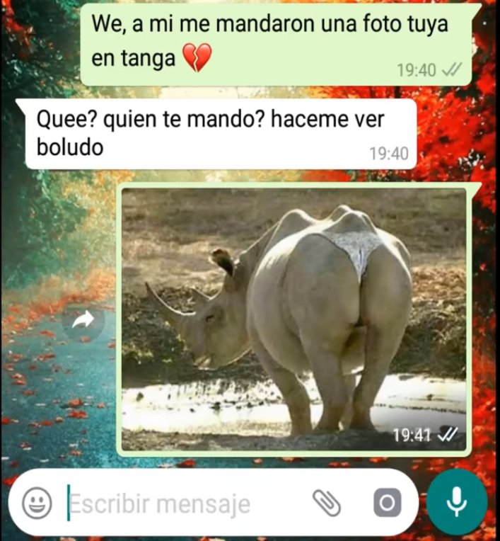 vSebazArg_'s tweet image. :v