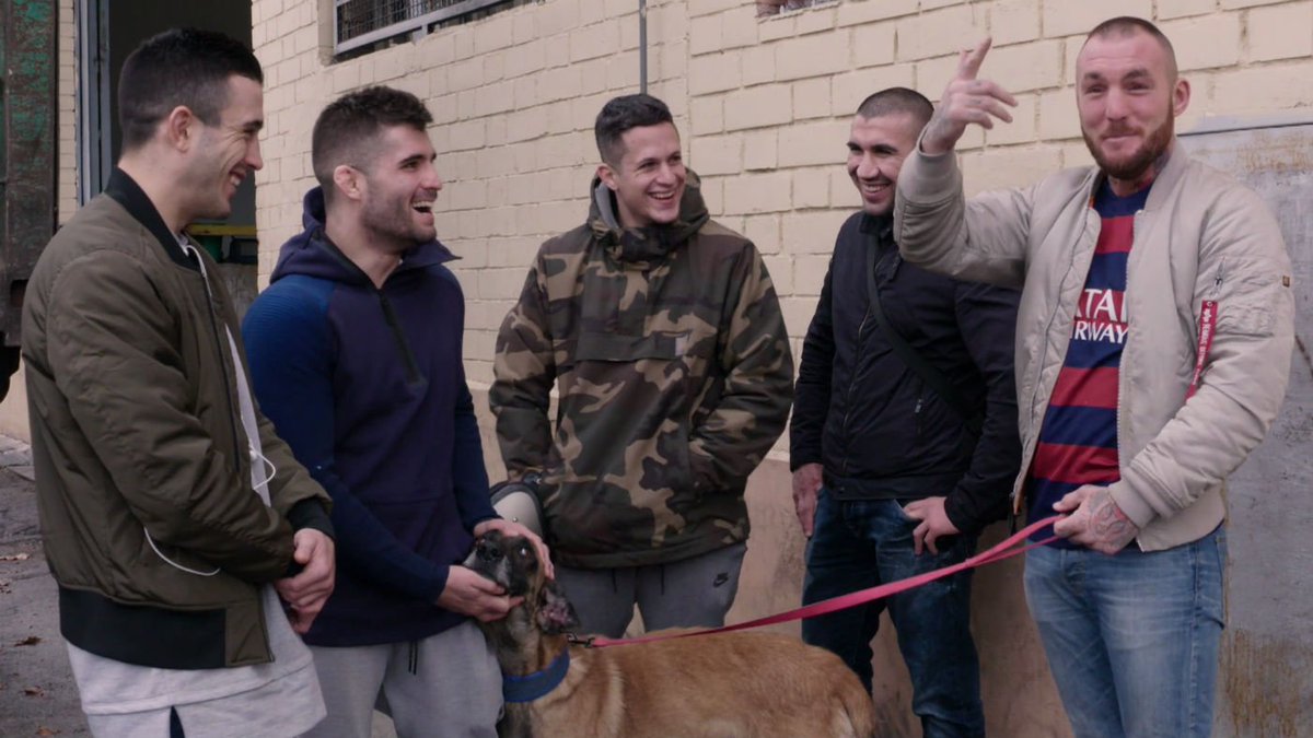 Sigue ya en directo #ACaraDePerro5. ¡Vamos! mdia.st/directo4