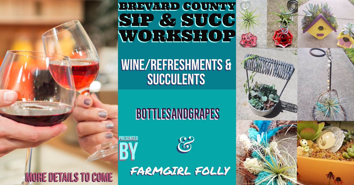 #sipandsucc #bottlesandgrapes #farmgirlfolly #workshop #wineworkshop #succulentworkshop