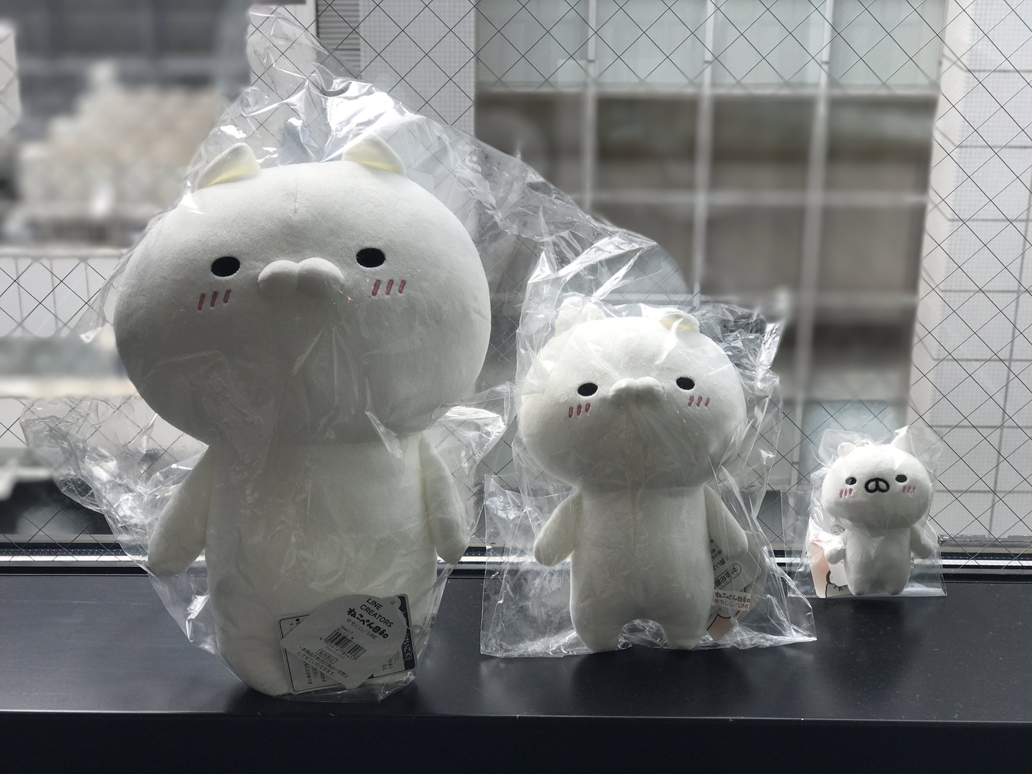 銀座ロフト U Tvitteri 新商品入荷 ねこぺん日和 Mojimojiji 新商品が色々と入荷してますよ やはりオススメは ねこくんとぺんちゃんの ぬいぐるみm ぬいぐるみs ぬいぐるみマスコット 銀座ロフト U Tvitteri 新商品入荷 ねこぺん日和 Mojimojiji 新商品が色々と入荷してますよ やはりオススメは ねこくんとぺんちゃんの ぬいぐるみm ぬいぐるみs ぬいぐるみマスコット