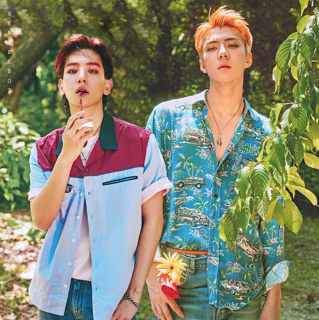 imgur.com/a/gUo3p

코코밥 세훈❤️백현 세백