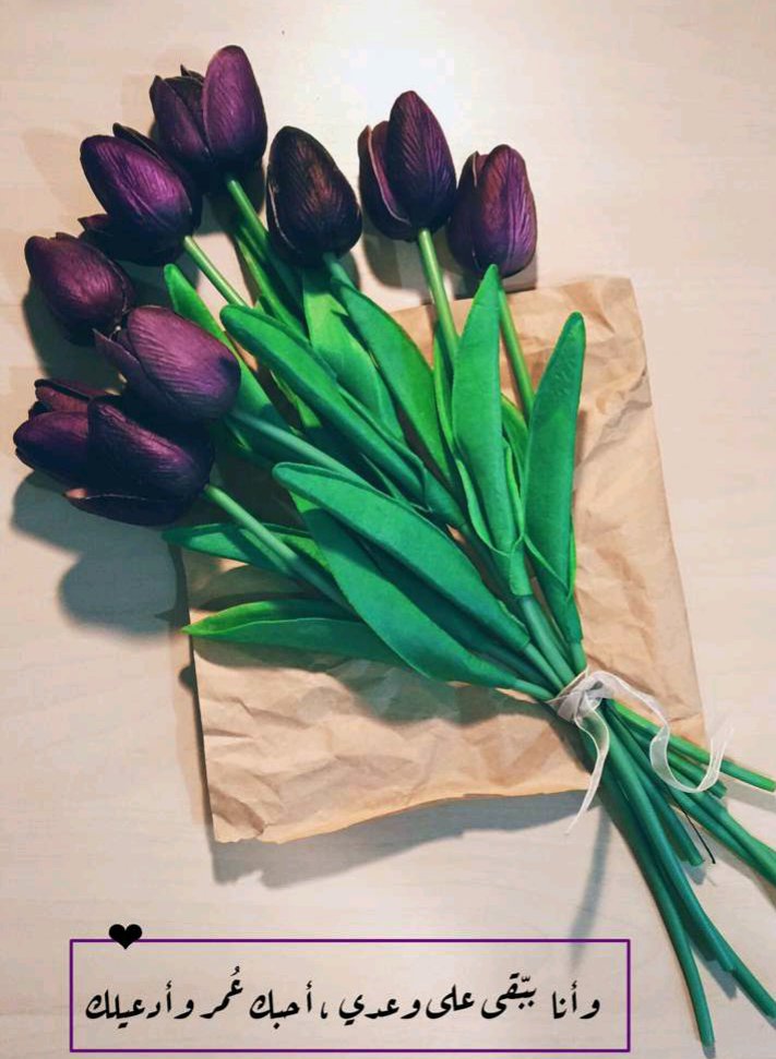 ببقى على وعدي الي انطيته إلك 🌸