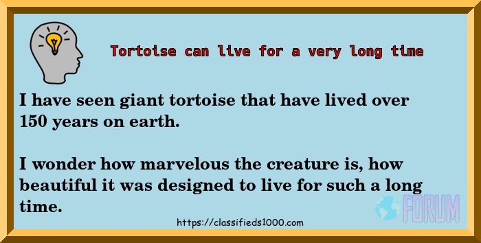 BeInTheKnow's tweet photo. #Tortoise can #live for over 150 years. https://t.co/LZRHps6ylC