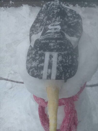 Ice fishing <a href="/Sanford_Ltd/">Sanford Ltd</a>