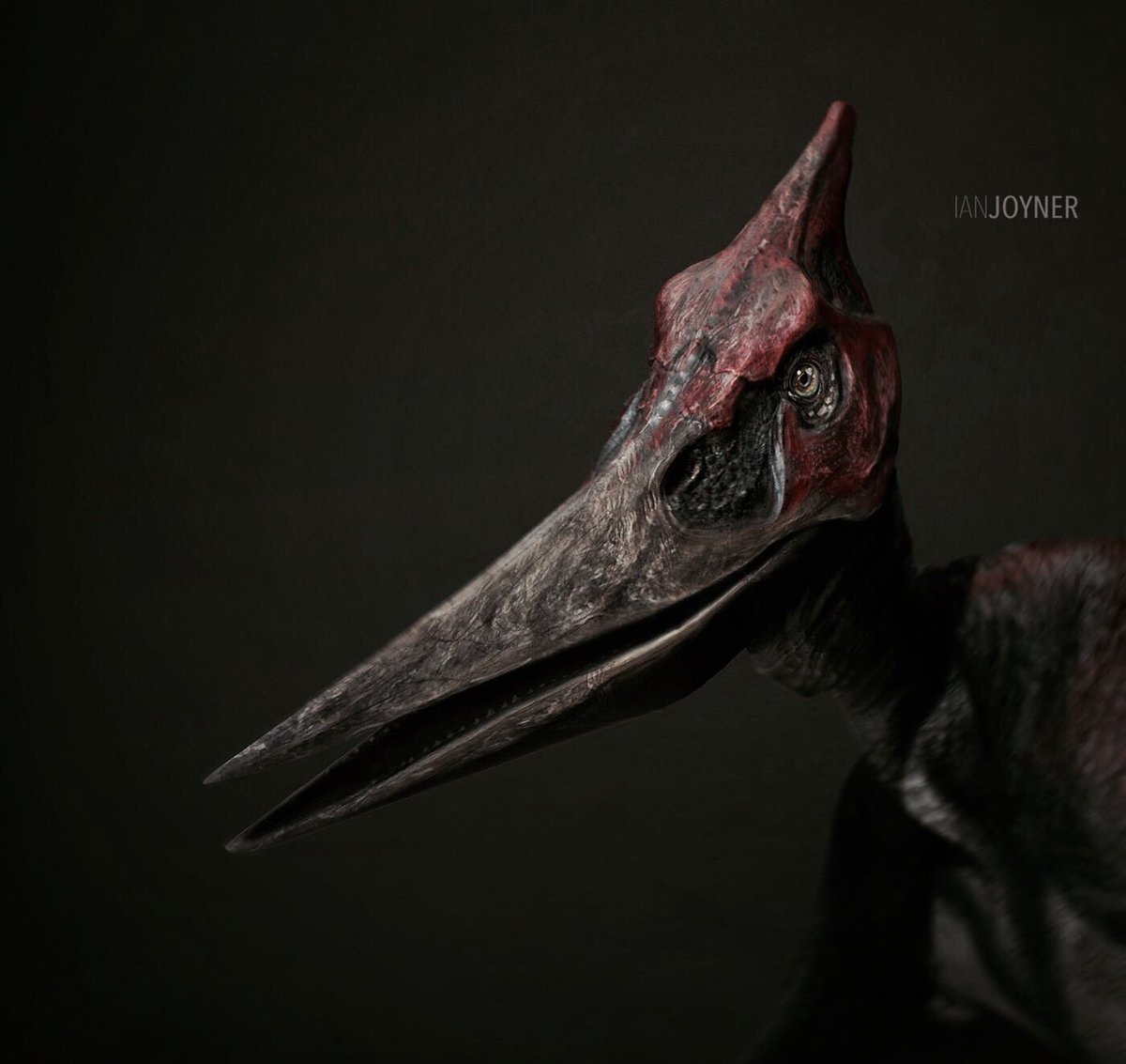 Brycenator100's tweet photo. The Jurassic World Pteranodons from concepualization to finalization. #JurassicPark #JurassicWorld #Pterandon https://t.co/Hb3FofgFcD