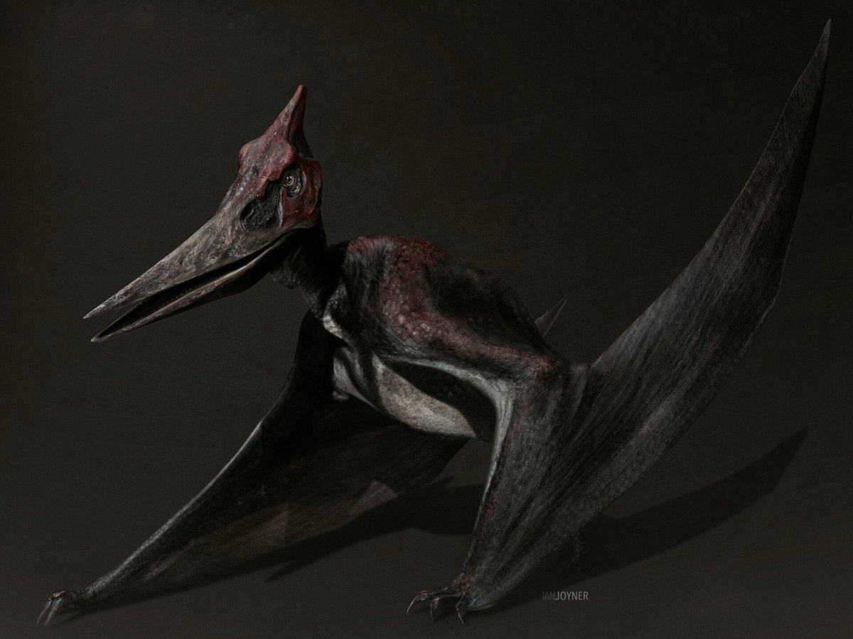Brycenator100's tweet photo. The Jurassic World Pteranodons from concepualization to finalization. #JurassicPark #JurassicWorld #Pterandon https://t.co/Hb3FofgFcD
