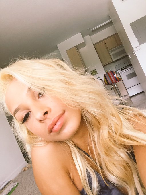 Nothing else to do in Florida but love my cat 😽 https://t.co/IS4883TCB6