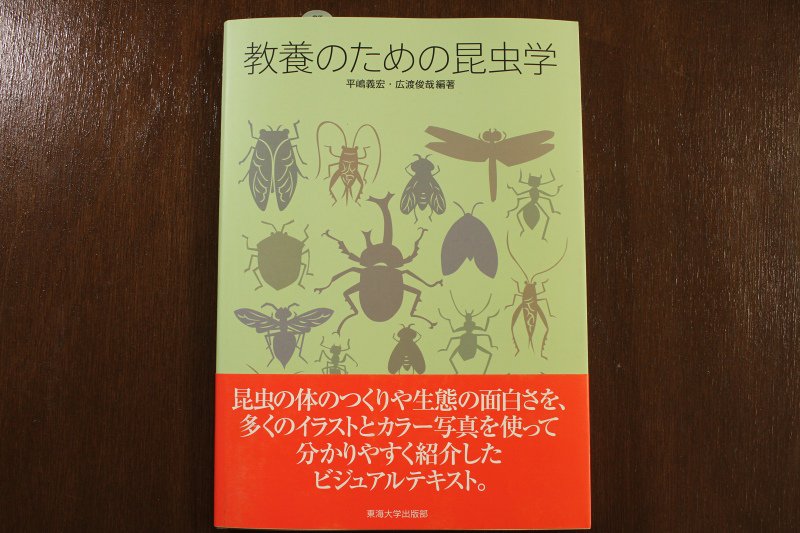 うみねこ博物堂 臨時休業中 通販やってます A Twitter 教養のための昆虫学 が入荷しました 昆虫 界全体を俯瞰する日本語の解説書は久しく出ていませんでしたが これは今後のスタンダードとなりそうな優れた内容です 昆虫について基礎からガチで学べる うみねこ博物堂 臨時休業中 通販やってます A Twitter 教養のための昆虫学 が入荷しました 昆虫 界全体を俯瞰する日本語の解説書は久しく出ていませんでしたが これは今後のスタンダードとなりそうな優れた内容です 昆虫について基礎からガチで学べる