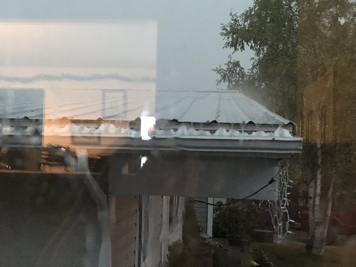 Sasha Winter tweet media