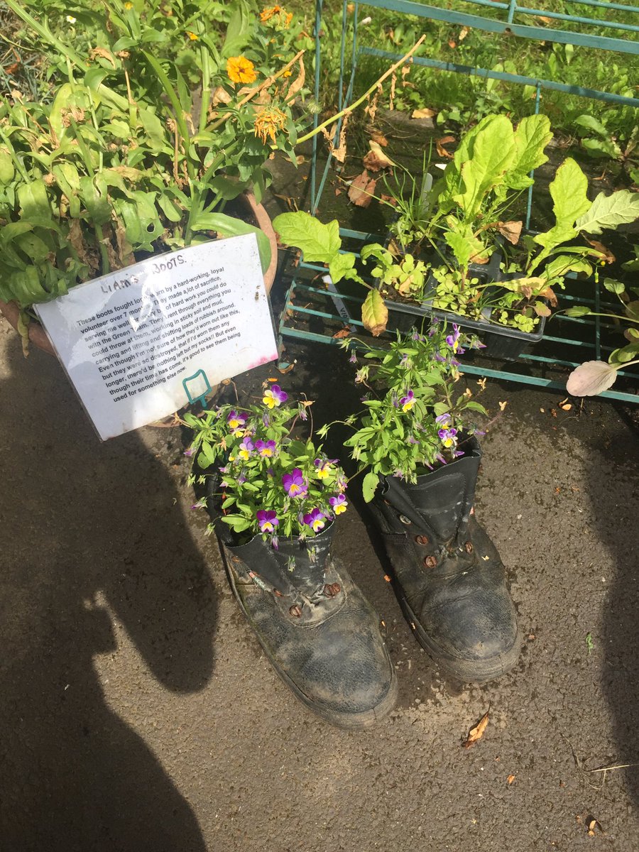 WestParkGoole's tweet photo. Lots of activity ahead of #GooleInBloom judging today https://t.co/Ca9rUENsQe