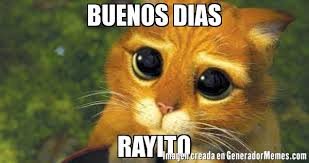 bryanferb's tweet photo. @DebRyanShow #Rayito buenos días #Rayito https://t.co/CtrGWBXdf9