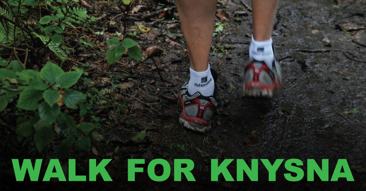 oysterfestival's tweet image. Join us at the @PicknPay #WalkForKnysna.
Sunday, 16 July | 08:00 | Festival Grounds 
webtickets.co.za #KOF2017 #KnysnaRises