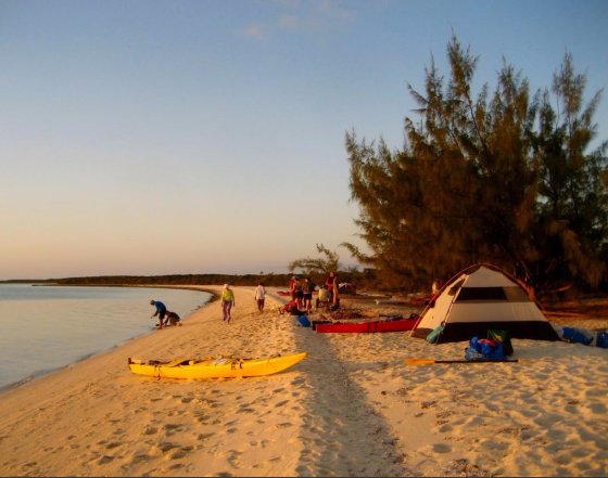 Columbia Theological Seminary tweet media