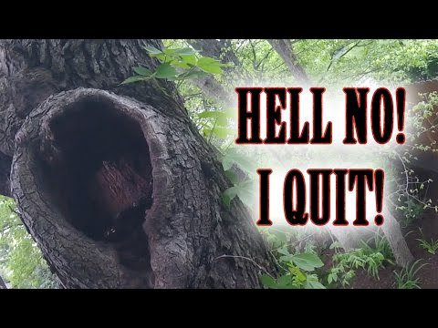 nataliemadz's tweet photo. Quit my job today... - VIDEO-> https://t.co/bJDZjpL6PG #AssholeBoss #Climbing #Safety #TreeFail #TreeHack #TreeService https://t.co/kdUp1mkvBo