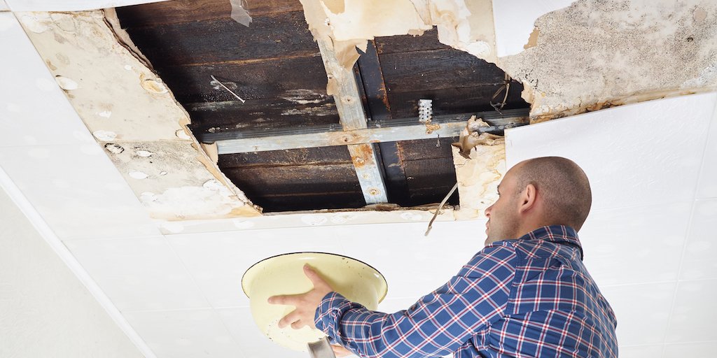 Asteron Life tweet media