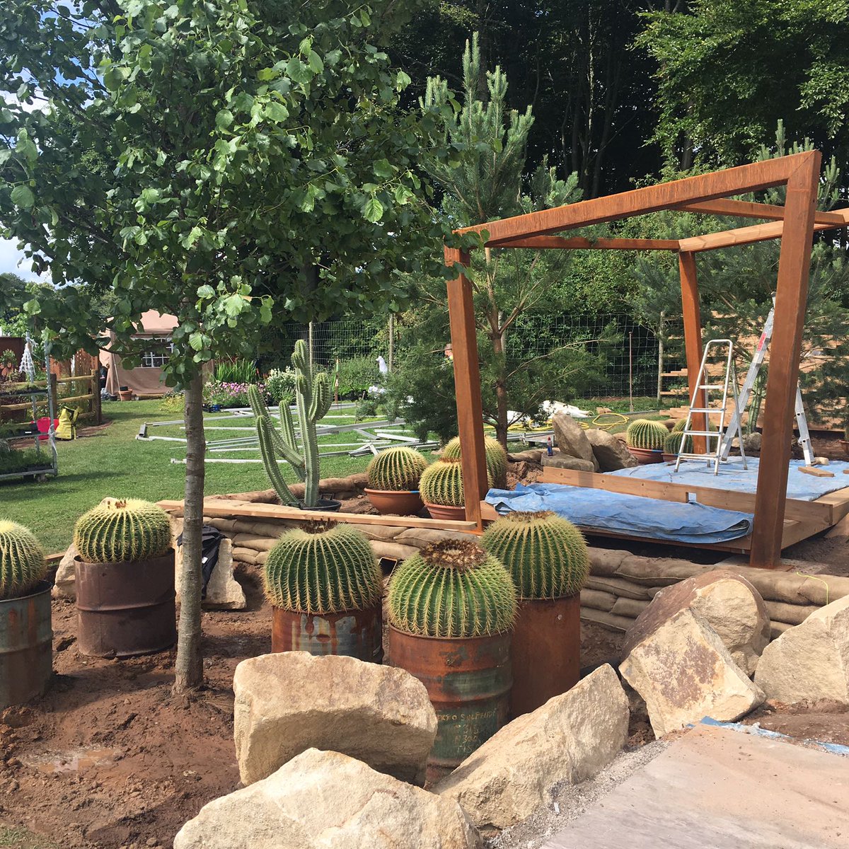 CactusDirect's tweet image. Just a few of the cacti on show at this years #RHSTatton these will all be available to purchase  #cactusdirect