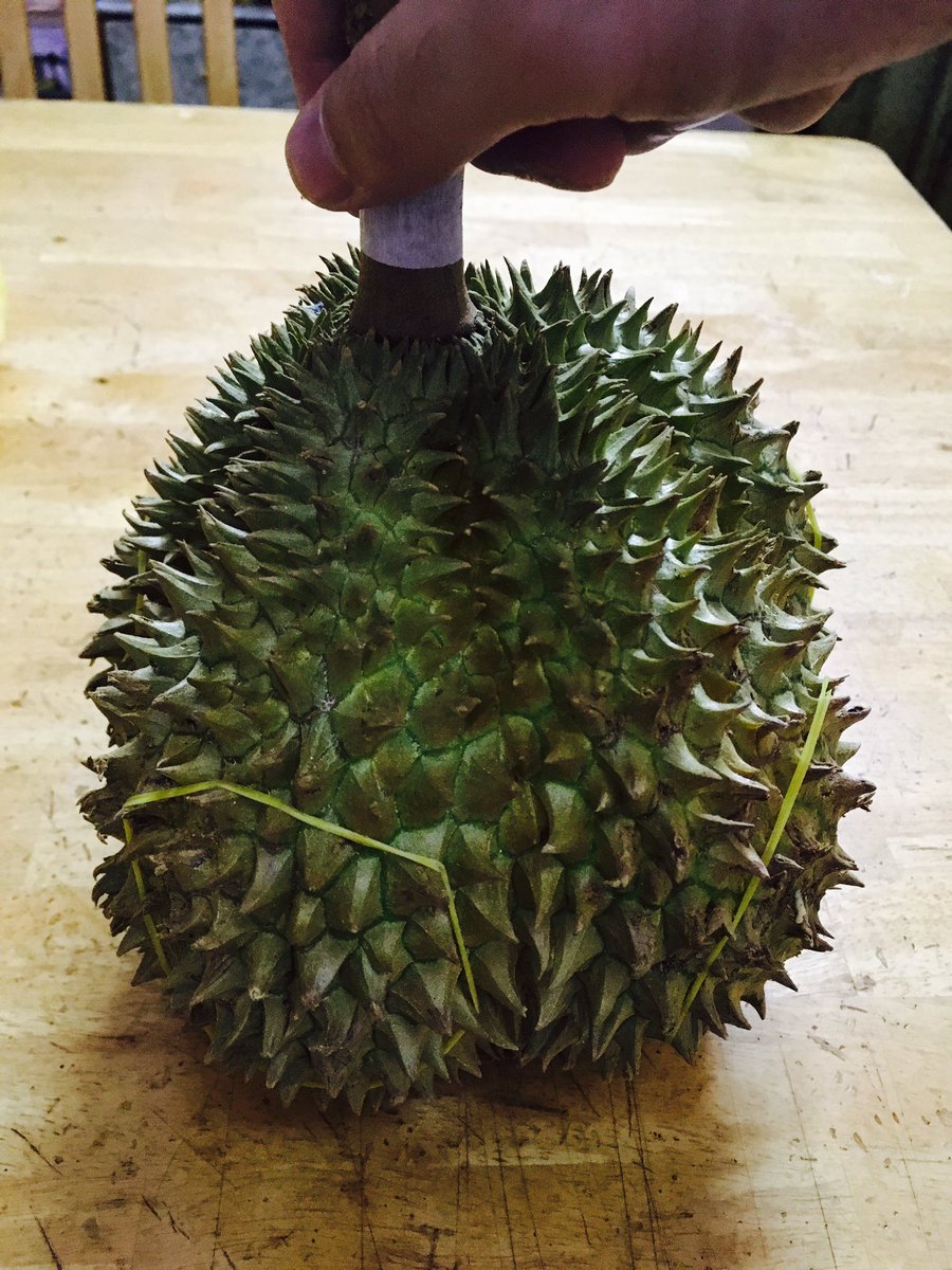 Durian