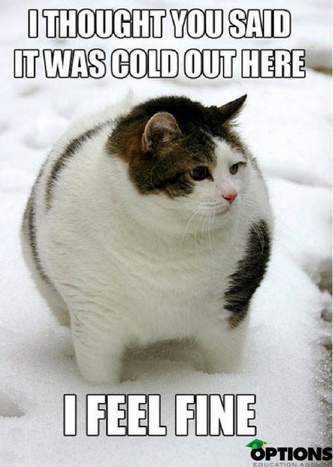 OptionsEdAgency's tweet image. This is how our services make you feel; TAKEN GOOD CARE of..to even notice the COLD!