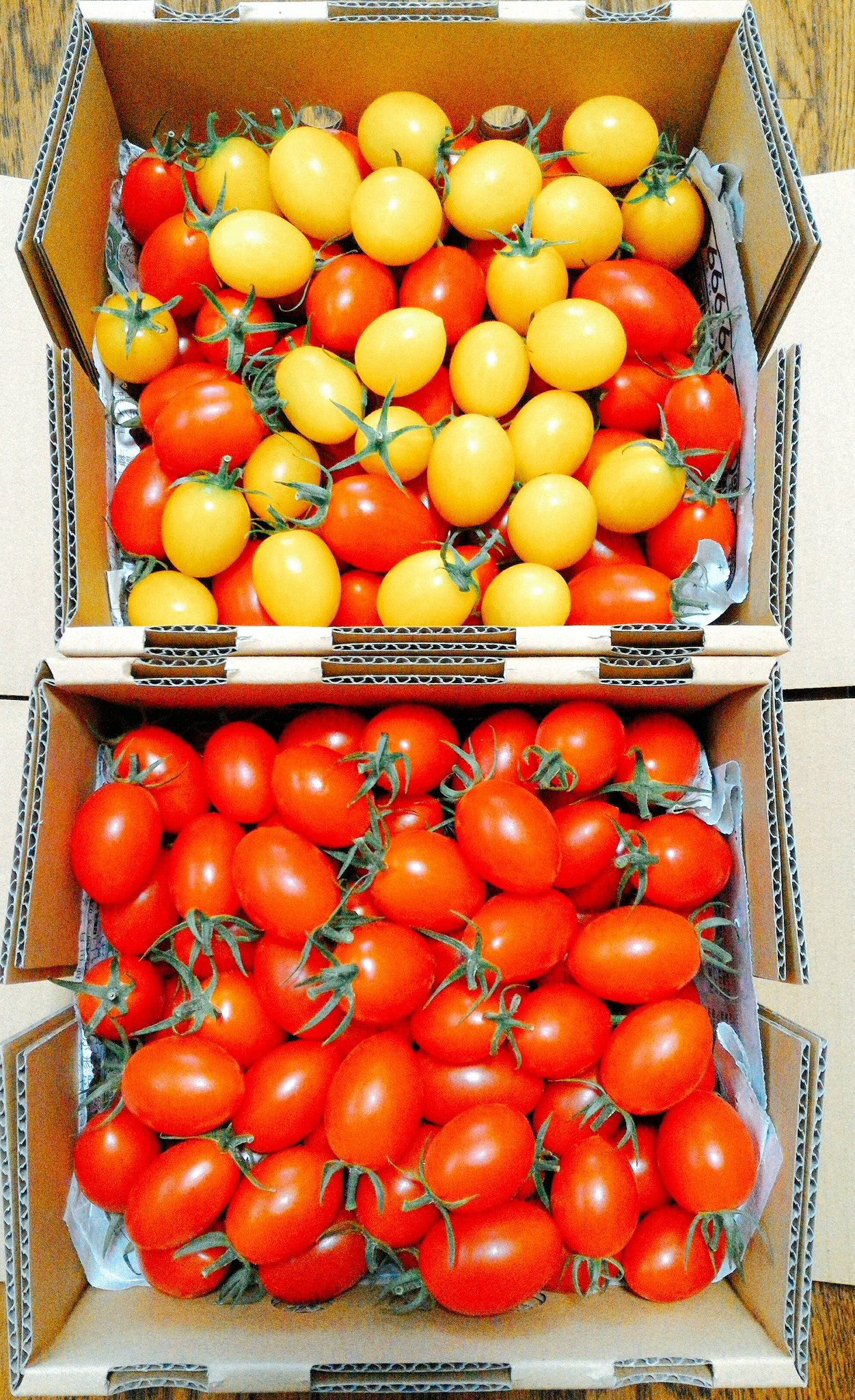 お結 おゆう Sur Twitter おしゃれミニトマト画像ですよ 母がダイエットの為 おやつはトマト などということをやっているのでどんどん産地直送されて来る T Co Pdn9pfxkvz Twitter