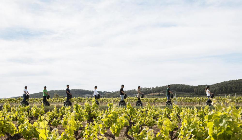 Vilafrancatur's tweet photo. Al #Penedès pots torbar diferents emrpeses amb les quals viuràs #experiències extraordinàries: bicis, segways, guies https://t.co/5brW8XgAeD https://t.co/yu9IcIjnz8