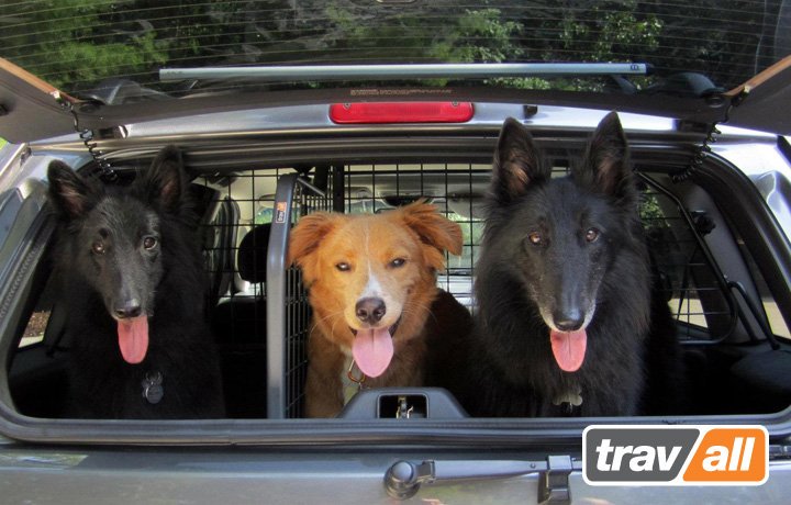 ¡Donde cabe uno, caben dos...o más! Para Chev, Ford, Nissan, Opel, Skoda y muchos otros, viaja con las Rejas Travall y tus peludos!