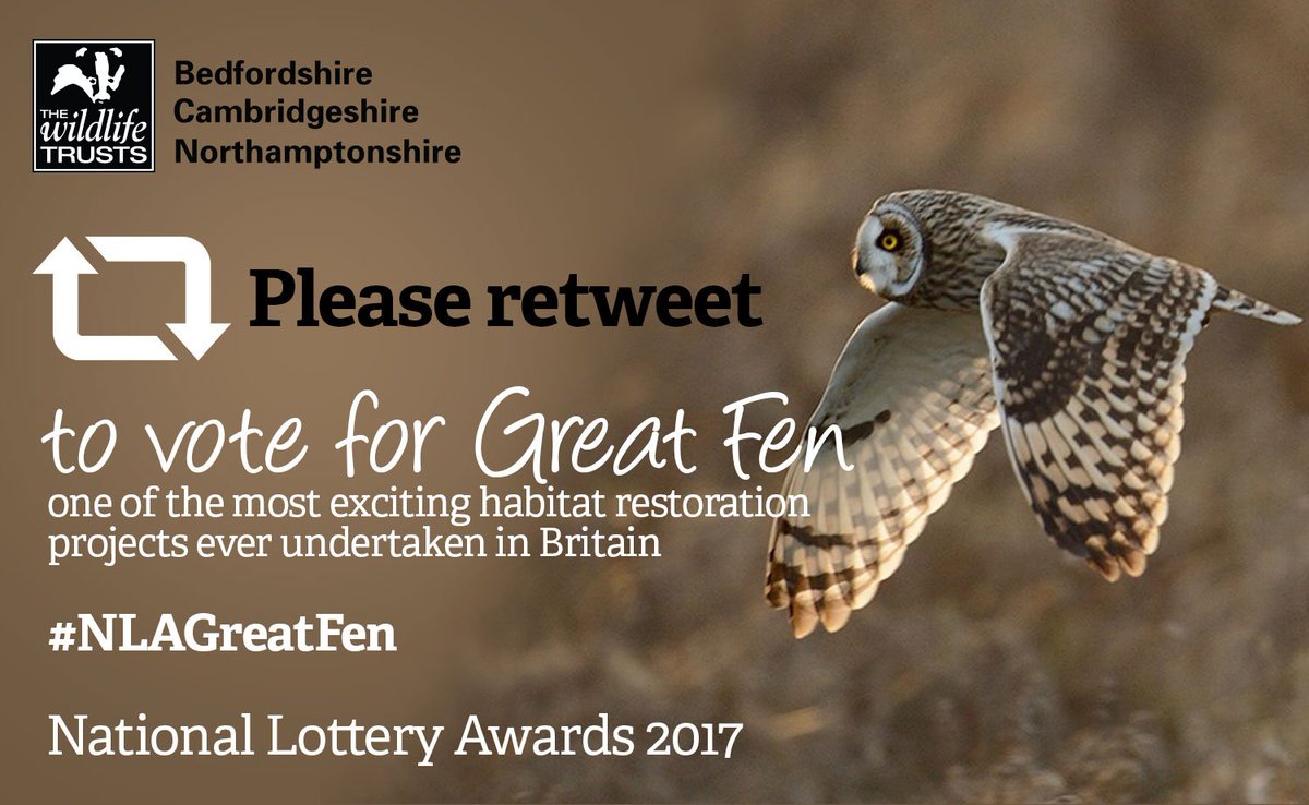 Retweet to vote for @GreatFen in the Environmental Category of the National Lottery Awards #NLAGreatFen or vote at bit.ly/2s4Emxx