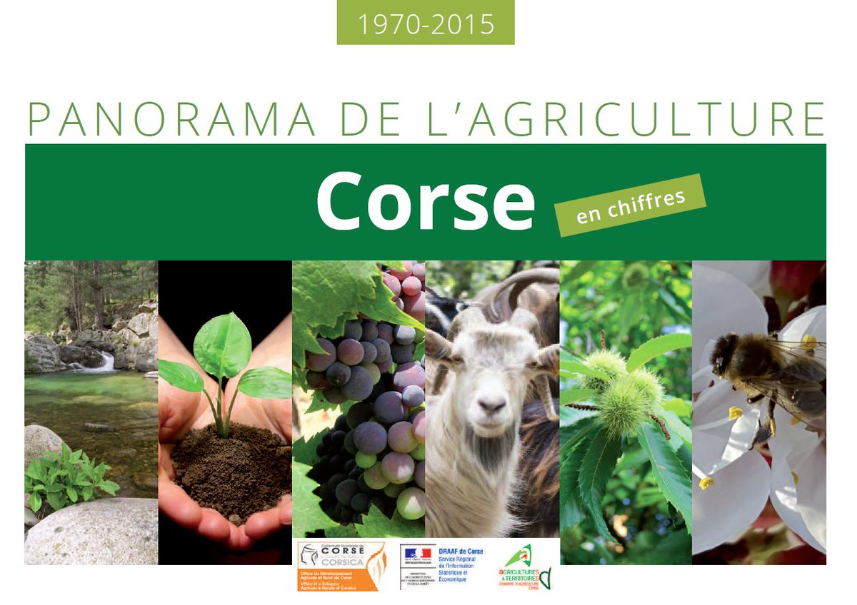 Prefet2A's tweet image. Découvrez le Panorama de l'#agriculture en #Corse réalisé par DRAAF, #ODARC et Ch. régionale d'agriculture ➡️ prefectures-regions.gouv.fr/corse/Actualit…