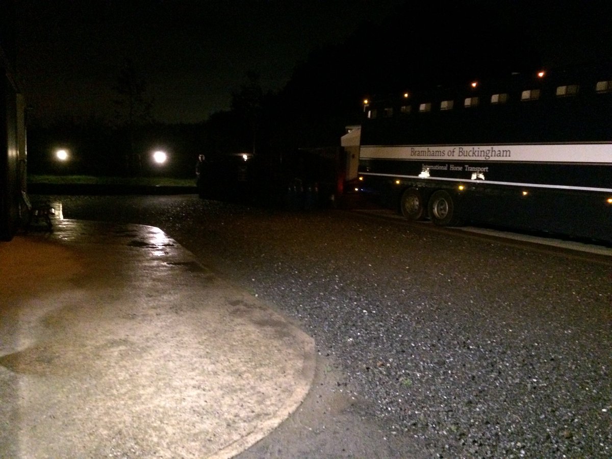BramhamsBucks's tweet photo. Our "Weekly Irish Service" returned this morning with all Horses delivered for Breakfast time.  #HorseTransport #JoinUsOnOurJourney https://t.co/OqbNFCQOS8