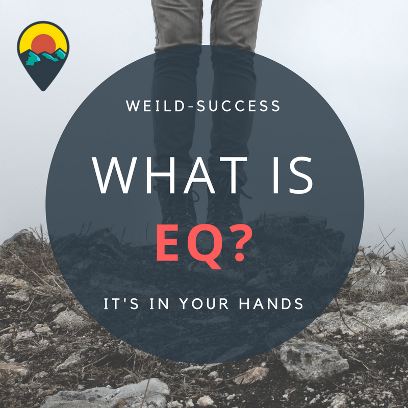 WieldSuccess's tweet photo. What is Emotional Intelligence?

We define EI as the ability to: 
Recognize, understand and manage our own emotions. https://t.co/seyz9ge6tJ