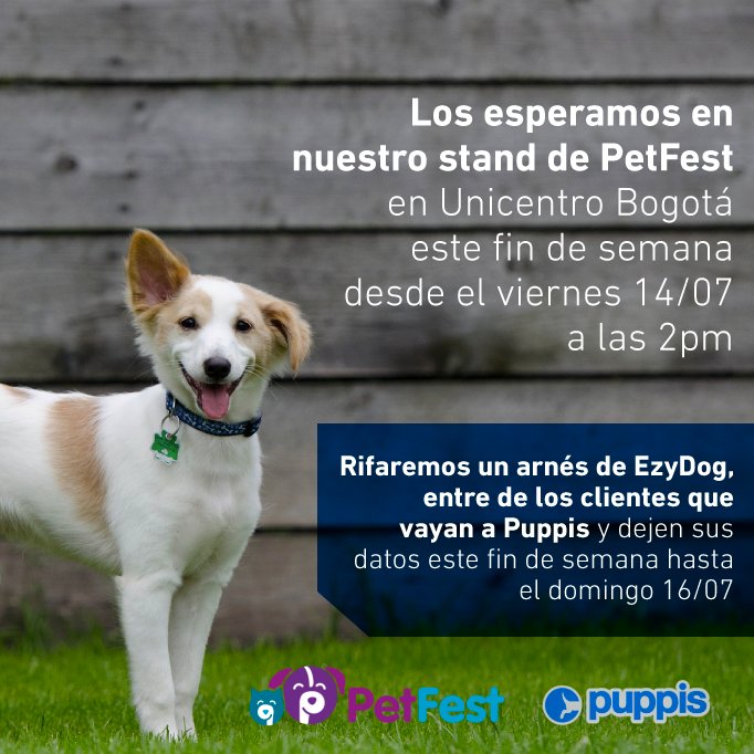 puppiscol's tweet photo. Estamos preparando todo para este fin de semana porque llega el PetFest.. #AmigosPuppis #PetStore #PetFest #bienestaranimal #mimascota https://t.co/5ixUQj824a