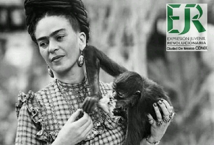 EJR_CDMX's tweet photo. #UnDíaComoHoy de 1954 muere en la #CDMX pintora mexicana Frías Kahlo, una de las artistas mexicanas de mayor reconocimiento internacional. https://t.co/QTaODRiEwl
