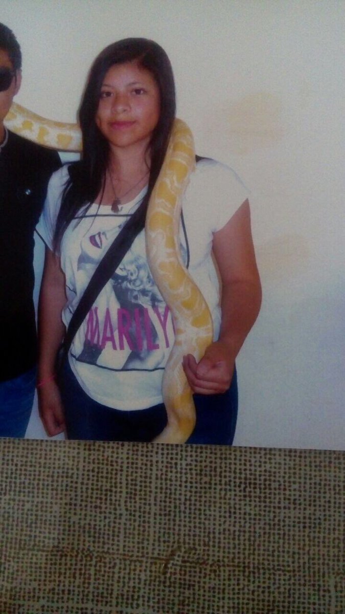 cirilo_saucedo's tweet photo. Apoyo para localizar a una menor gracias https://t.co/WN3y6NcuRq