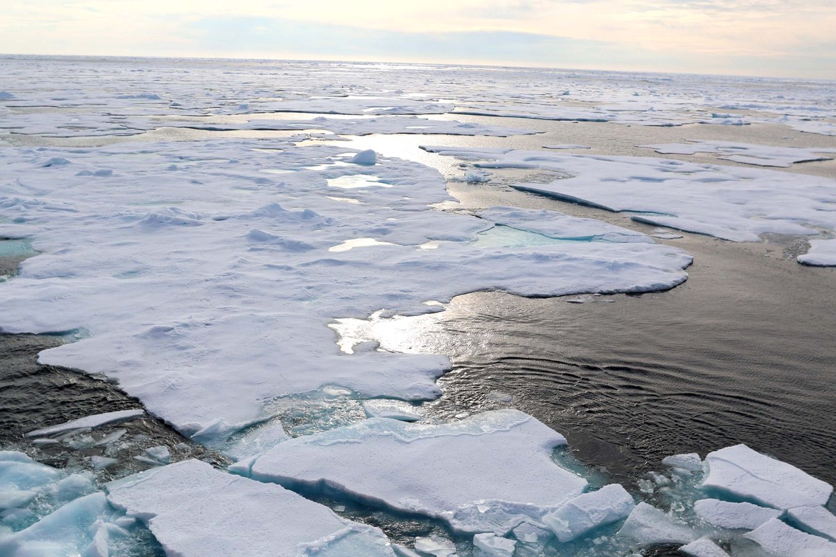 NOAAComms's tweet photo. MEDIA: Join @NOAA &amp; partners 7/18 for press event on impacts of ice-diminishing #Arctic on naval &amp; maritime ops https://t.co/8OmKlAHQlO https://t.co/F8zSLAviHz