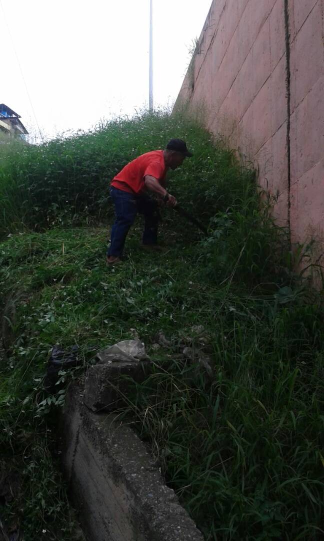 base4csgdc's tweet photo. #TrabajamosParaUsted desmalezamiento y recolección de desechos vegetales en la #Calle1 #PquiElValle #PorAmorACaracas https://t.co/DSDOSXVQ8u