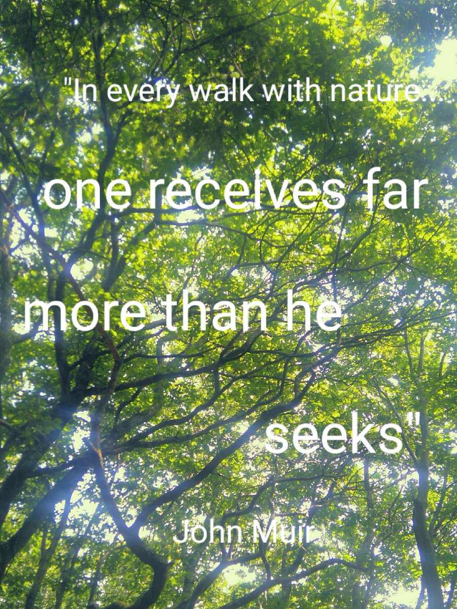 #skillsforlife students day of solos and solitude... A chance to reflect. #mindfulness #johnmuir <a href="/AberdoveyCentre/">Outward Bound Aberdovey / Aberyfi and Ogwen</a> <a href="/OutwardBoundUK/">The Outward Bound Trust</a>