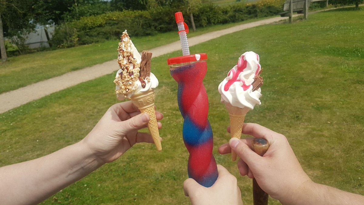 HealthTransWH's tweet photo. Sharing good practice day with @SchoolNWalsall enjoyed a lovely ice cream break too 🍦thanks boss 😀 https://t.co/DWpggYqju6